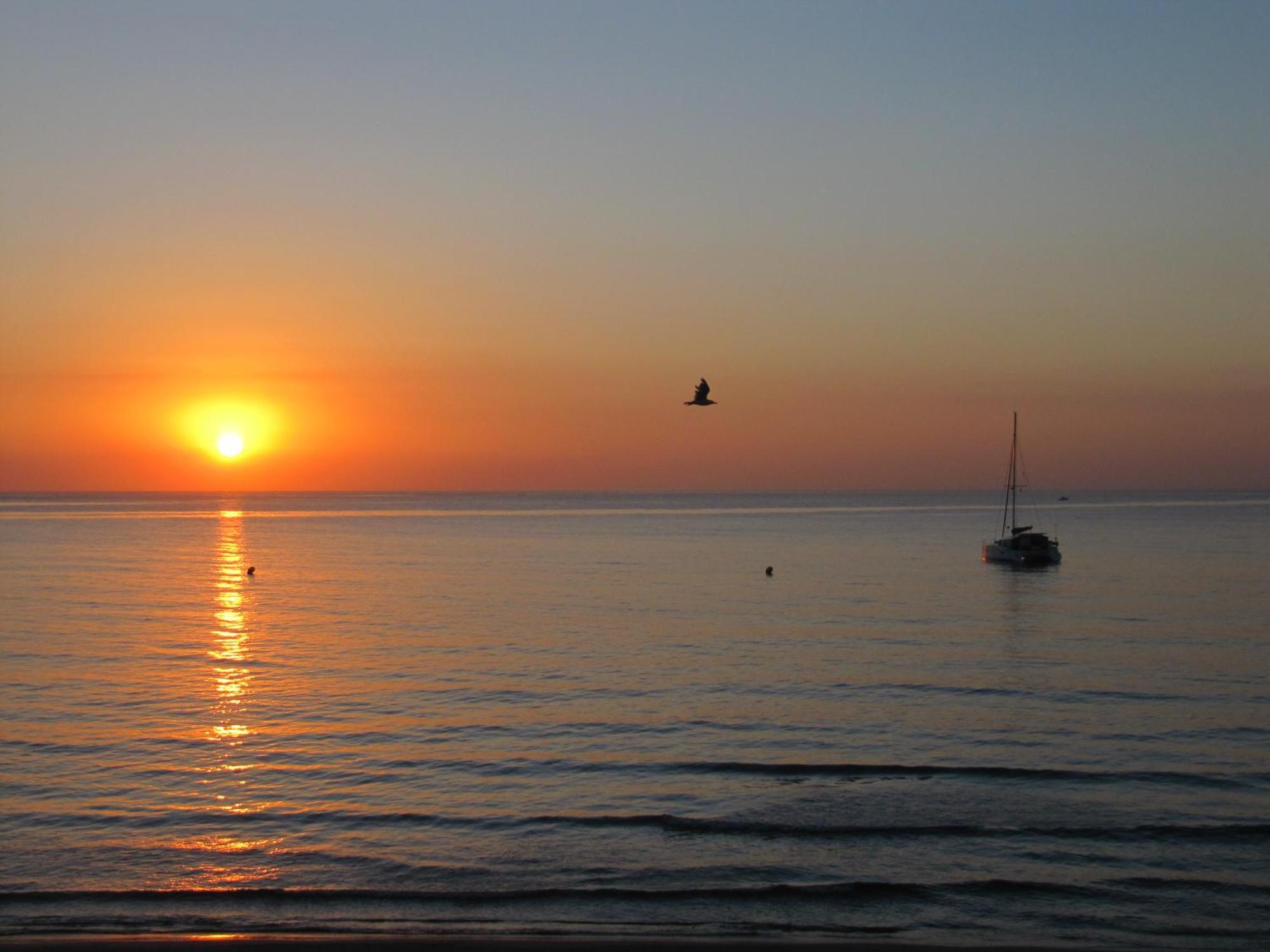 Excepcional Apartamento Loft A Pie De Playa En Chalet Roquetes 알리칸테 외부 사진